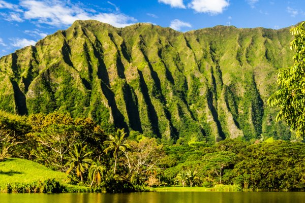 Hawaii for Nature Lovers Tile Image